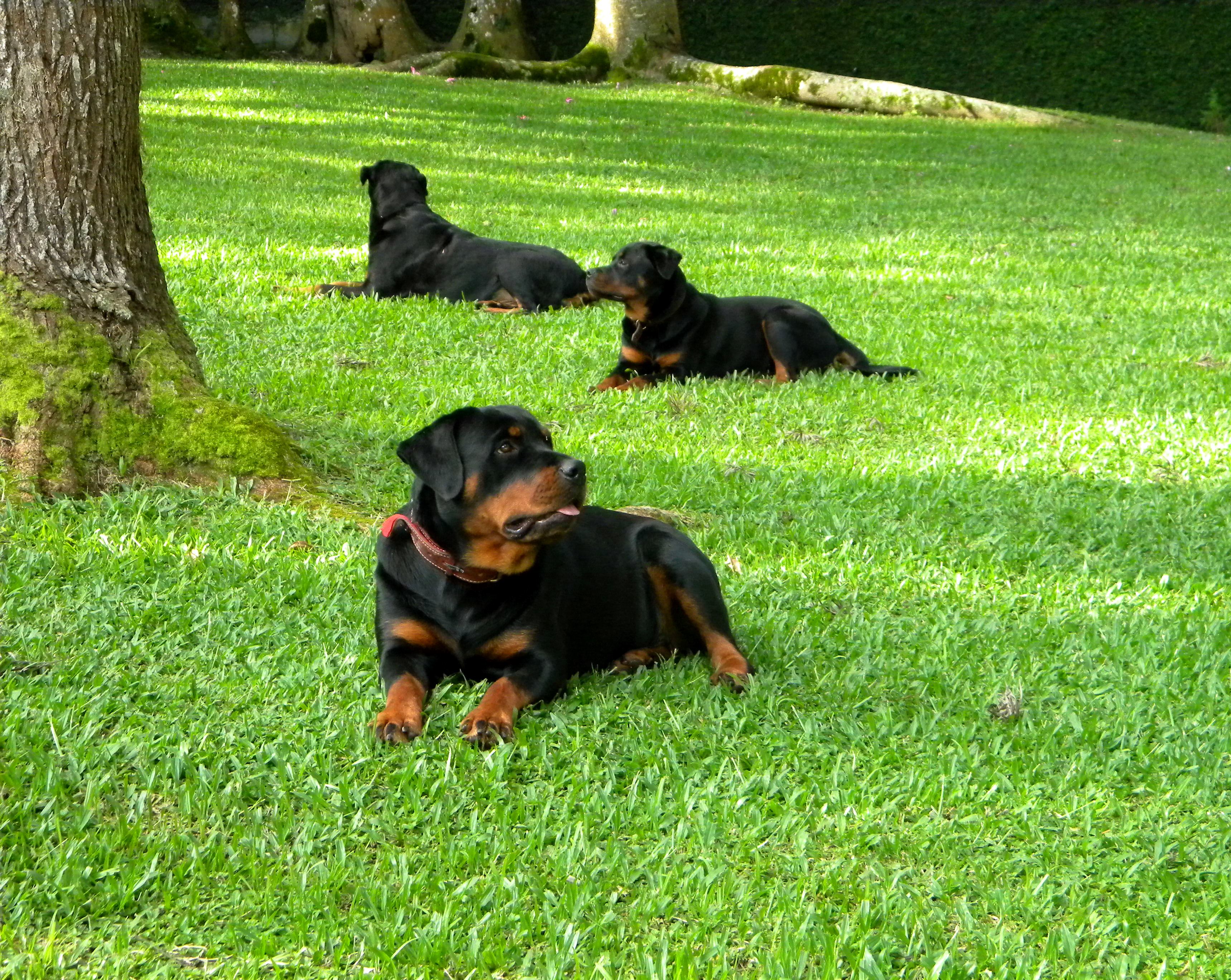 FEMEAS COLECTIVE (9)