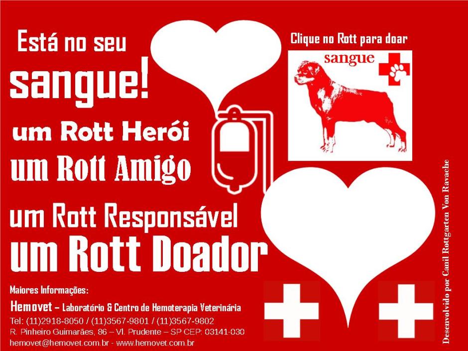 Rottgarten Von Ravache Doação de Sangue Vountário Rottweiler