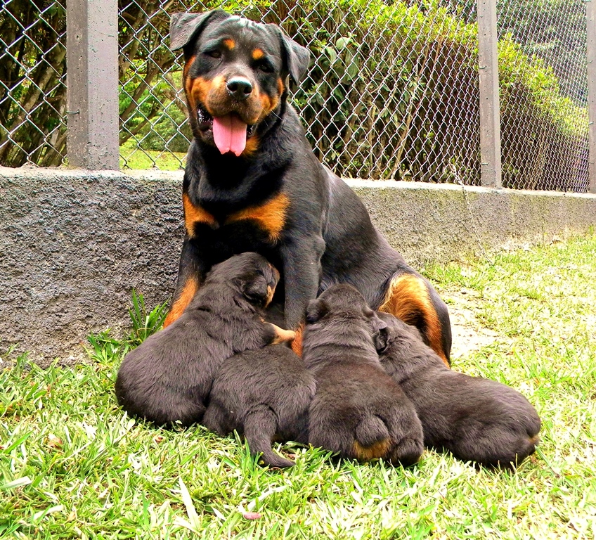 NINHADA PEEPA &amp; JOHANN 03.12.14 @ 31 days (20)