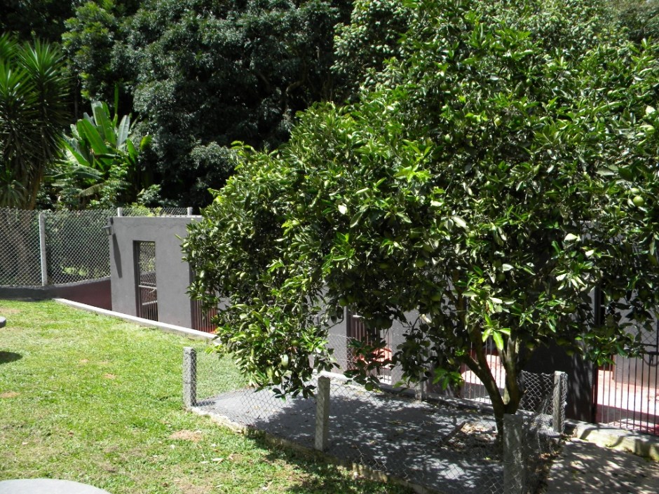 Maternidade - Setor 2.4 (1024x768)