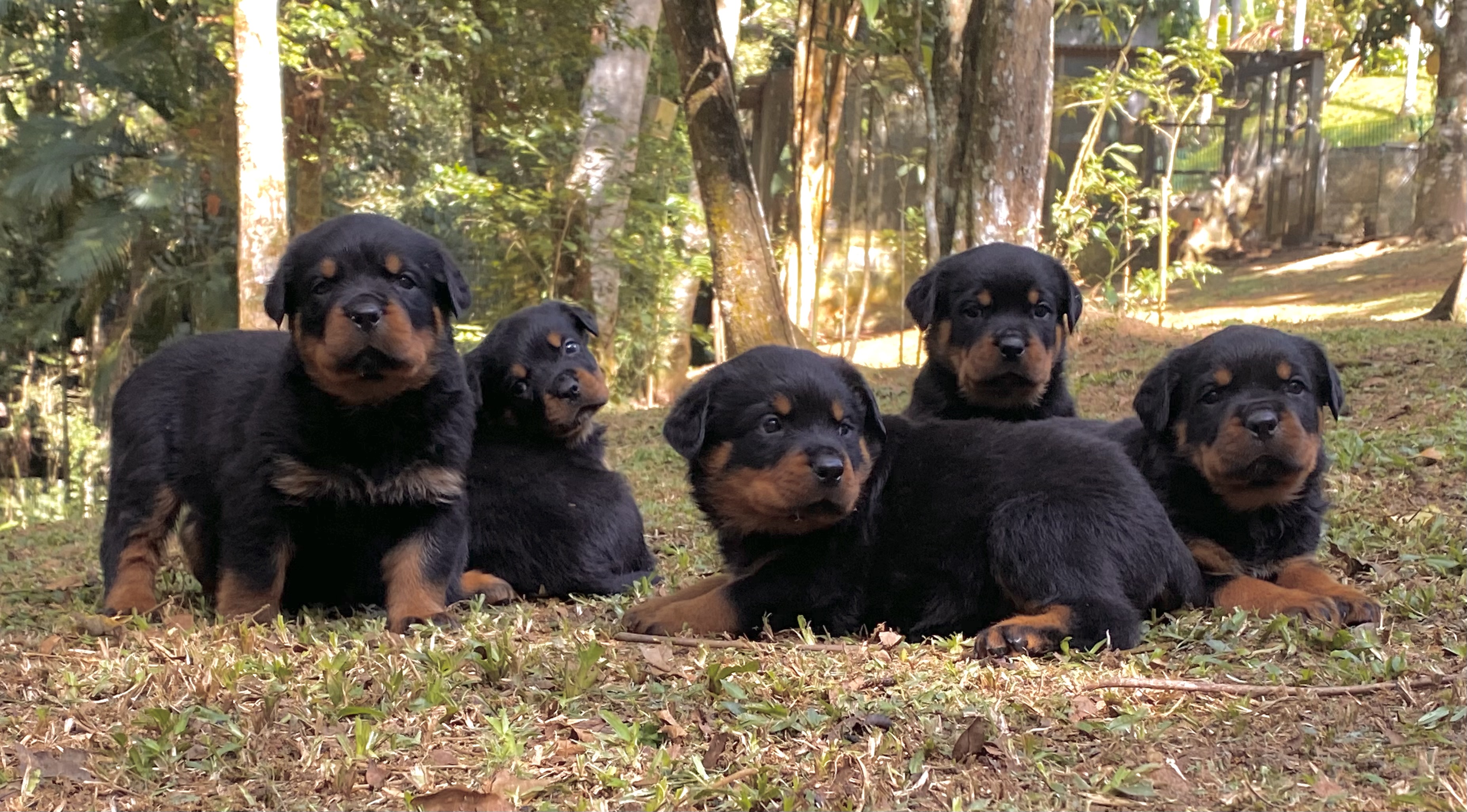 SANNY VS DROGO 31 DIAS (19)