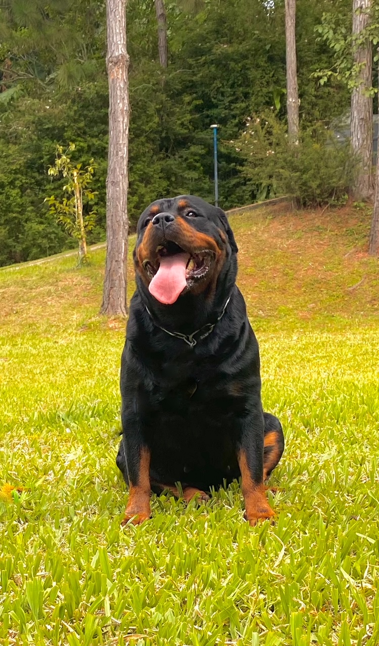 SARA ROTTGARTEN VON RAVACHE (1)