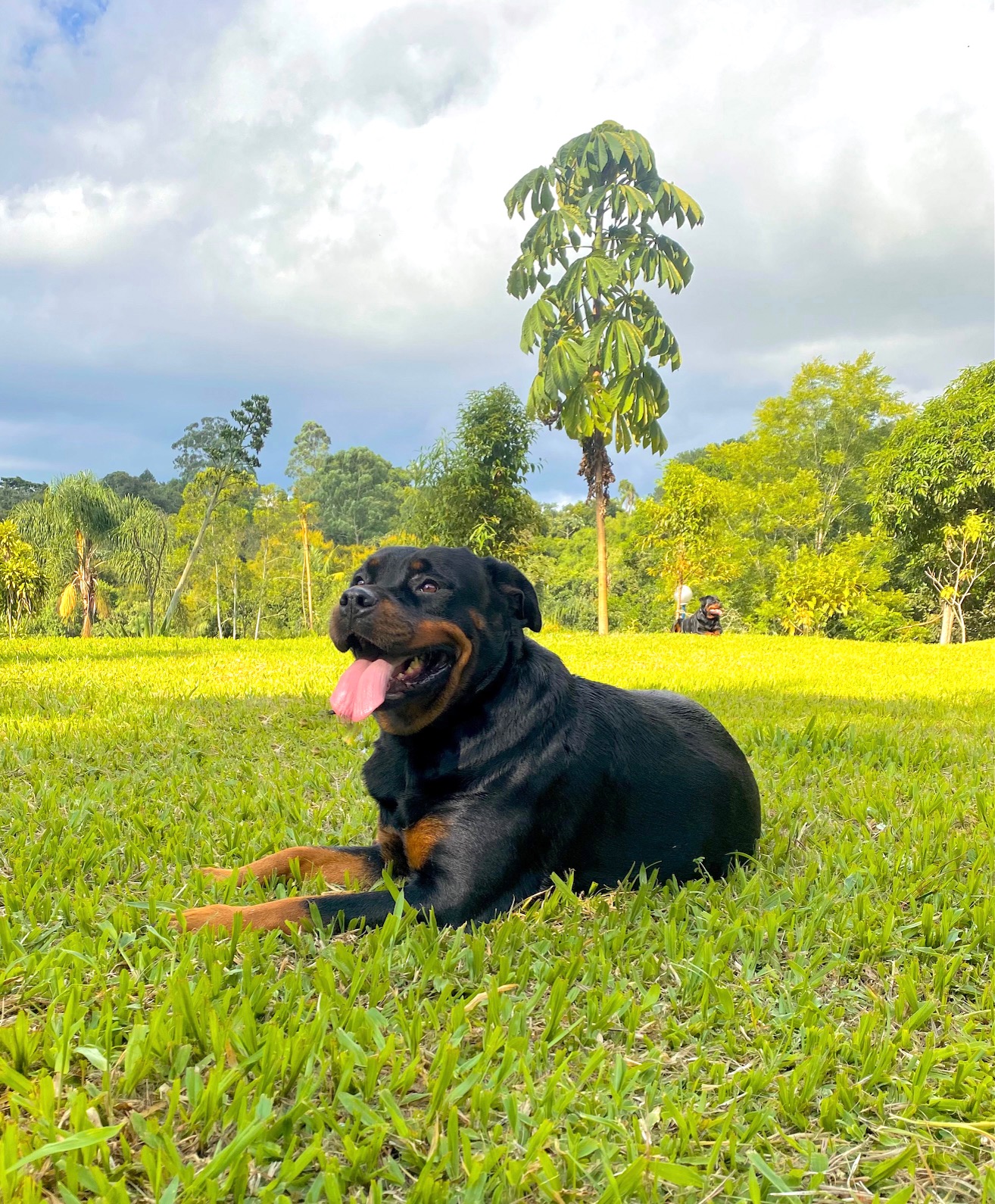 SARA ROTTGARTEN VON RAVACHE (1)