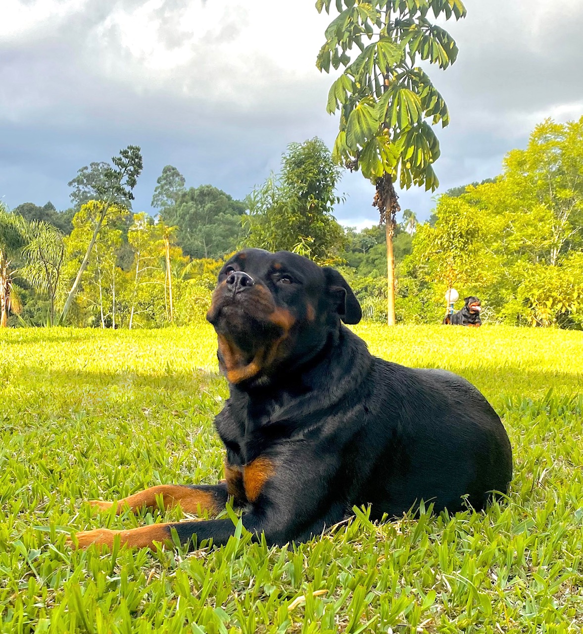 SARA ROTTGARTEN VON RAVACHE (2)